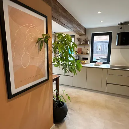 Apartment Ferienwohnung Neue Krone - Mernes Bad Soden-Salmuenster