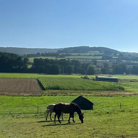 Ferienwohnung Neue Krone - Mernes